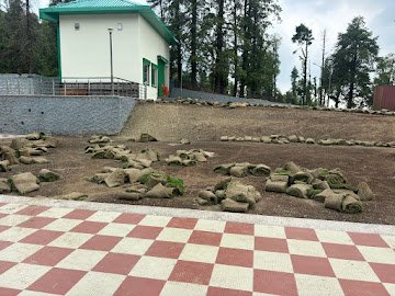 Korean carpet grass on luxury landscape