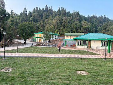 Nilgiri Super Green Grass for luxury residential lawns
