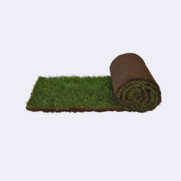 Minimalist Matte Ceramic Planter